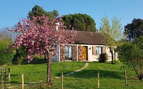 Gîte de la pomme de pin